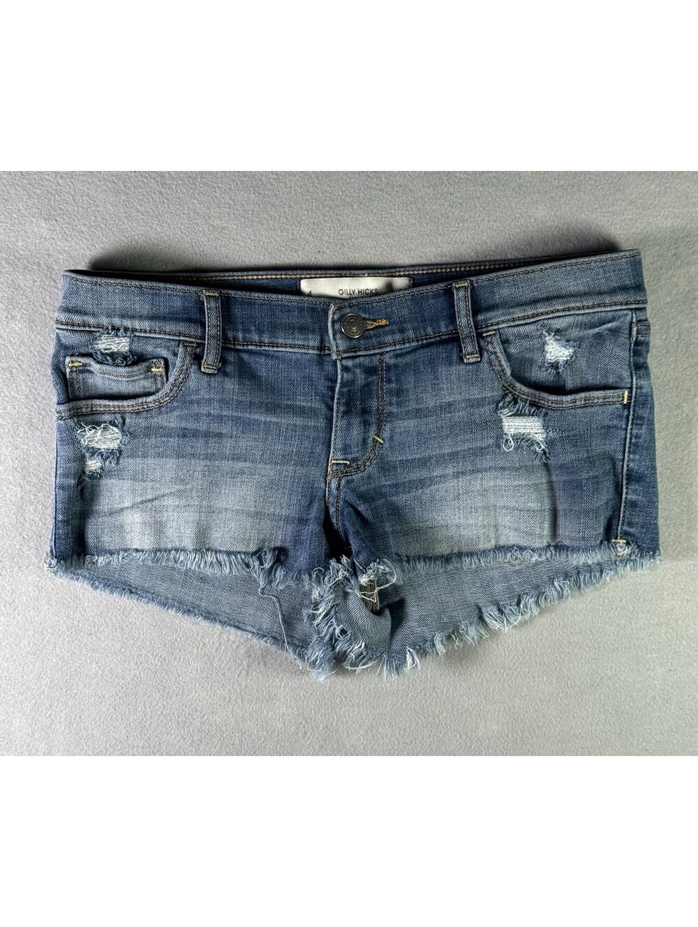 Gilly Hicks Sydney Low Rise Distressed Denim Shorts | Size 4 / 27